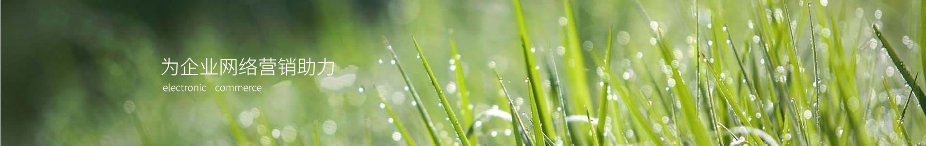 ȪݽιƼ޹˾